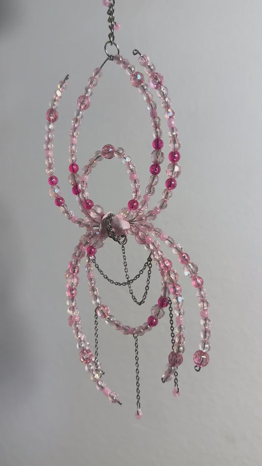 Charlotte the Spider